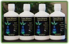 Load image into Gallery viewer, Trace Mineral Essentials
